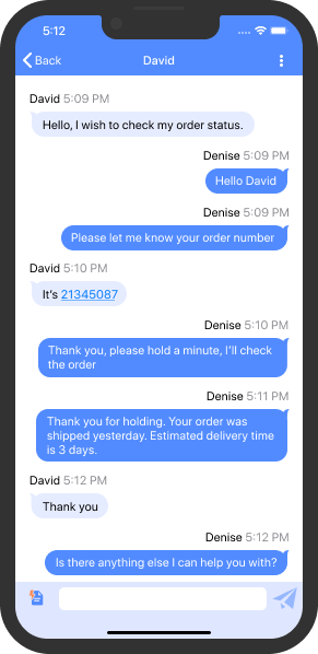 チャット メッセージには名前とタイミングが含まれます iOS 用アプリケーションのチャット テキスト